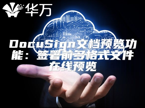 DocuSign文檔預覽功能：簽署前多格式文件在線預覽