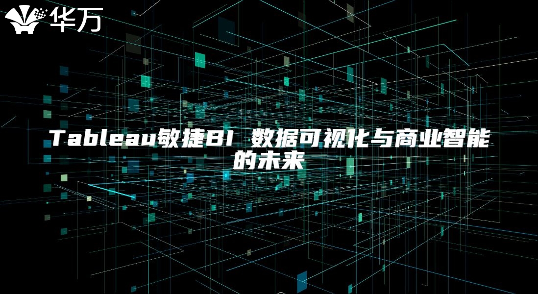 Tableau敏捷BI 數據可視化與商業智能的未來