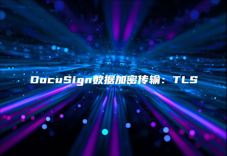 DocuSign數(shù)據(jù)加密傳輸:TLS